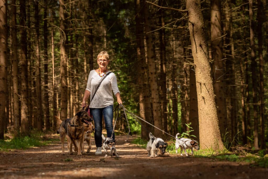 Older woman dog walker