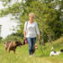 Setting Competitive Prices for Your Dog Walking Services