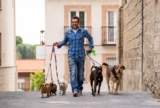 How to Keep Your Dog Walking Clients Happy and Loyal
