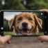 Essential Guide: Book Keeping and Invoicing for Dog Walking Businesses